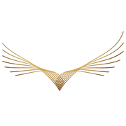 Logo of Odinrideshare Co.